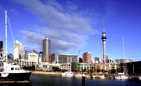 City skyline with Skytower photo