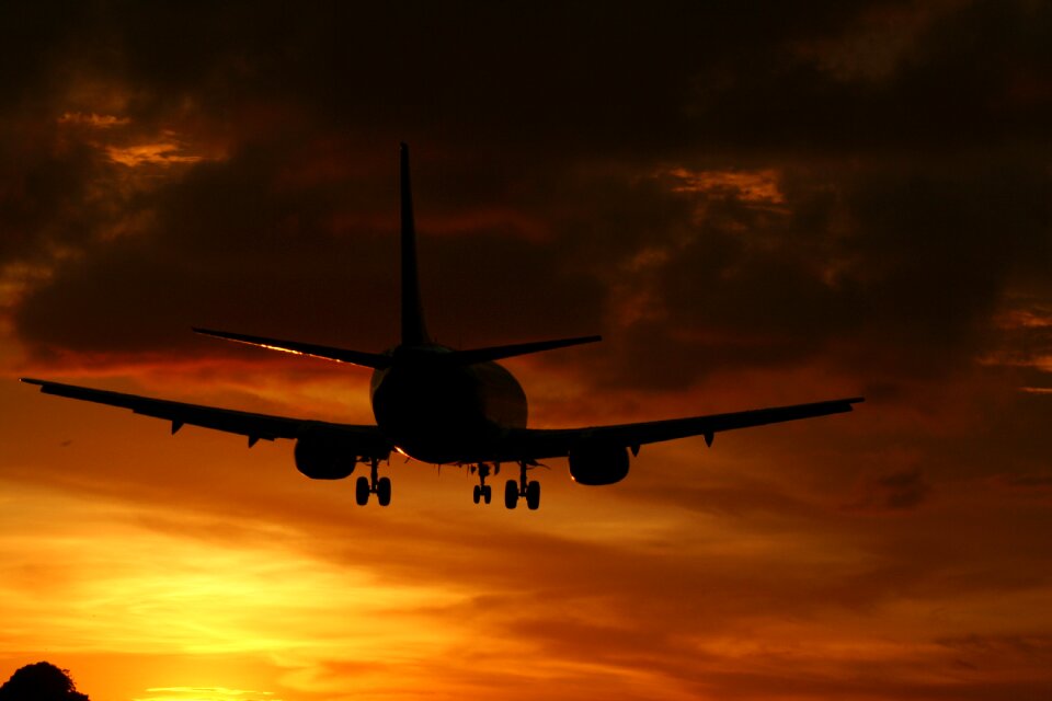 Transport brown plane brown airplane