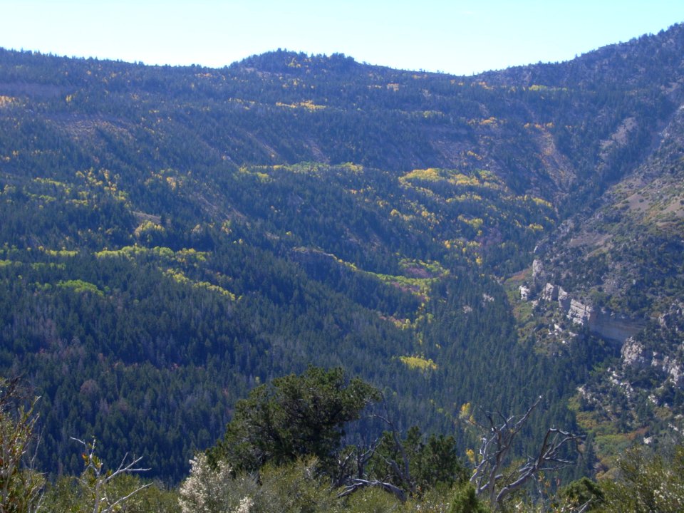 Price Canyon