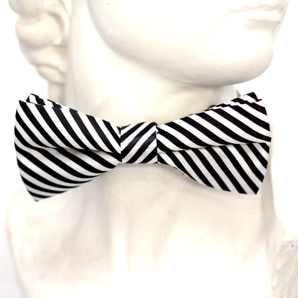 Fly tie loop