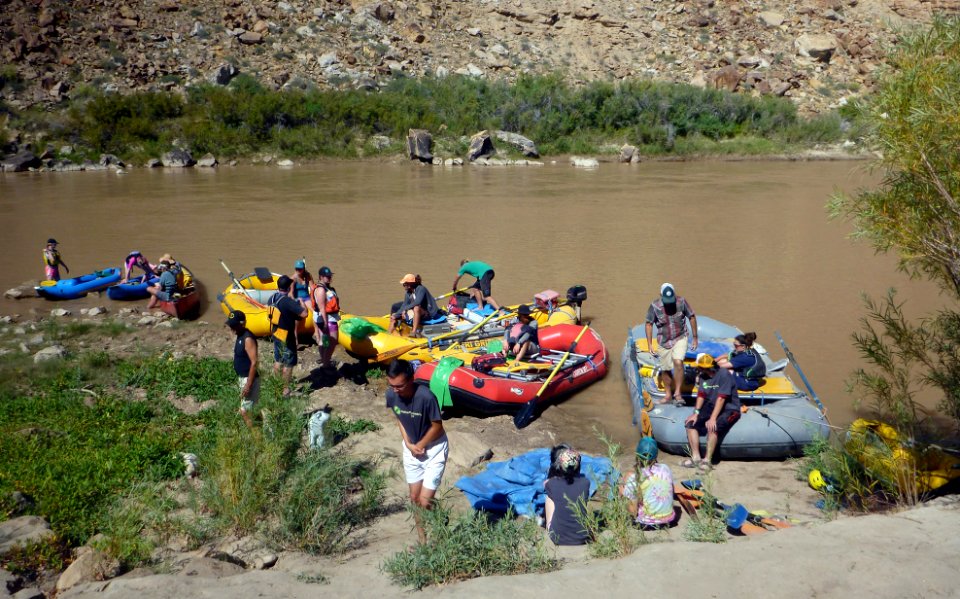 Price: Green River cleanup (4)