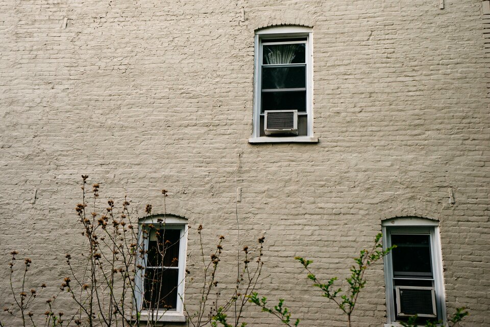 Bricks wall windows