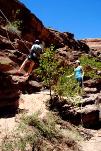 Rappelling at Gold Bar