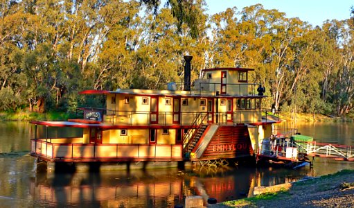 Emmlylou. Murray River Australia.