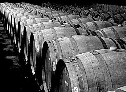 Wine casks. photo