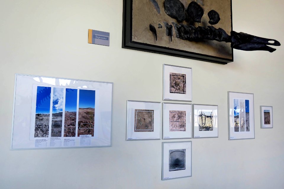 Display in Jurassic National Monument Visitor Center