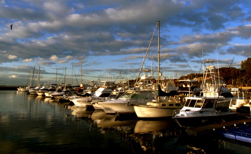 Port  Stephens. Australia.