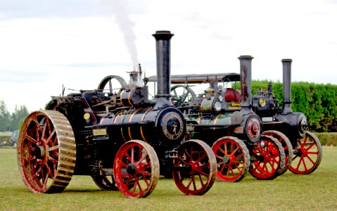 Three Burrell Traction Engines photo