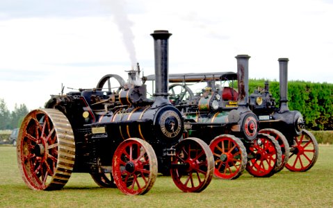 Three Burrell Traction Engines