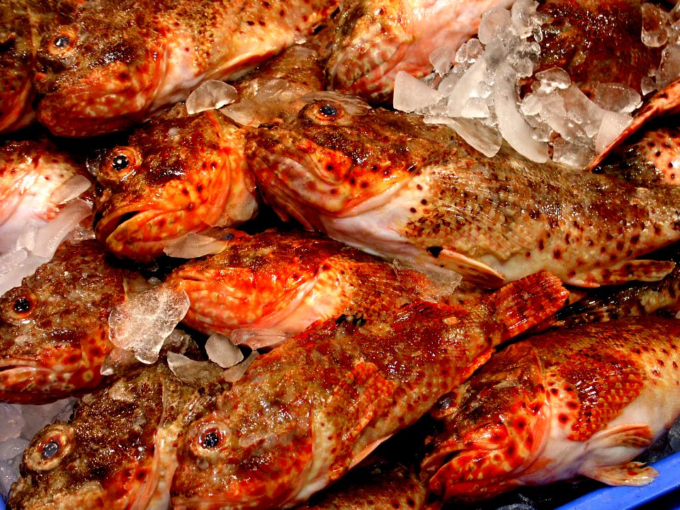 Fish market.