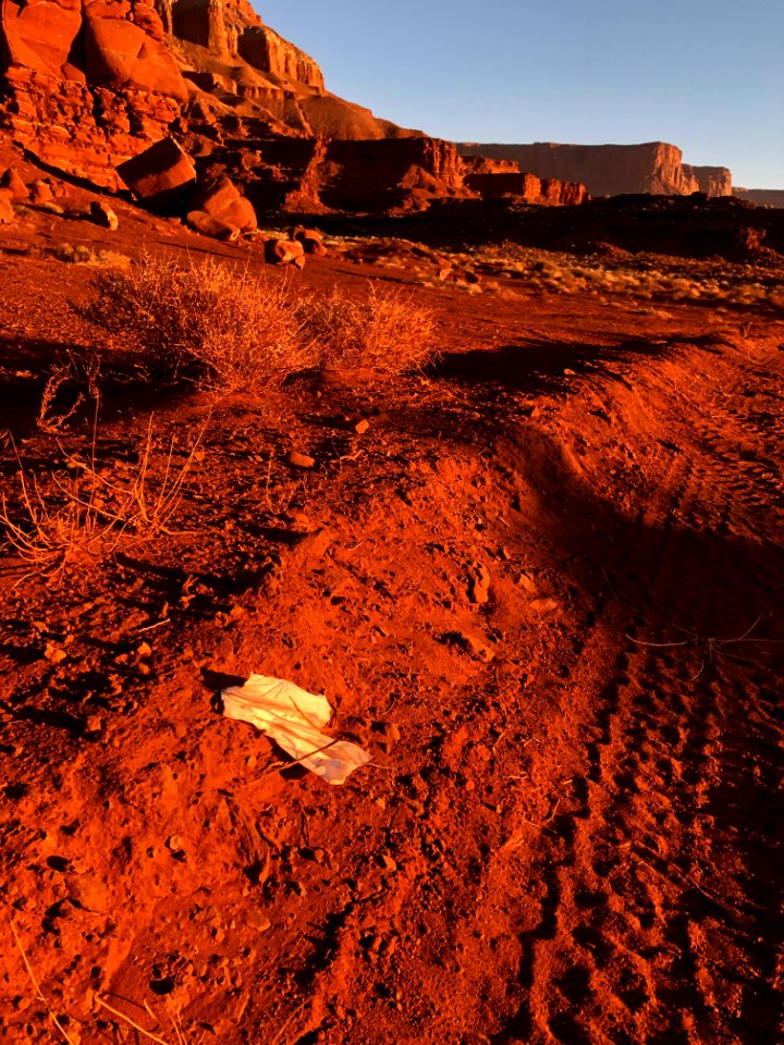 Toilet paper left by visitors to the Monolith site