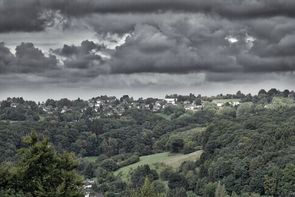 Clouds mood forest