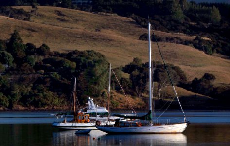 Morning Akaroa Harbour. photo