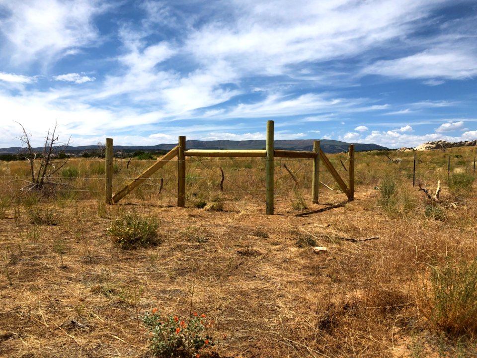 Docs Beach damage remedied by Eagles Scouts. Rancher. BLM. 2019 (24)