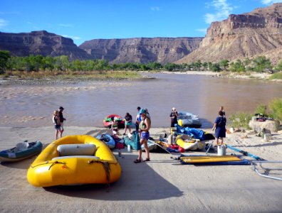 Price: Green River cleanup (1)