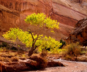 Crack Canyon photo