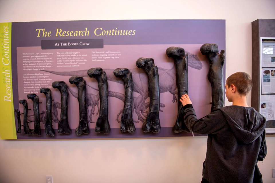 The students toured the Jurassic National Monument's visitor center. Photo by Eric Delphenich