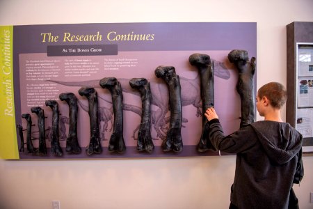 The students toured the Jurassic National Monument's visitor center. Photo by Eric Delphenich