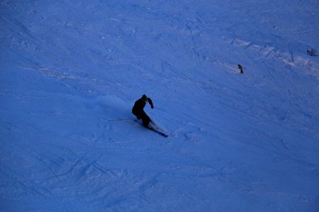 IMG 3675