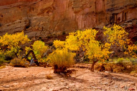 Crack Canyon photo