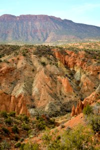 Onion Creek Trail - 10-30-17- 16