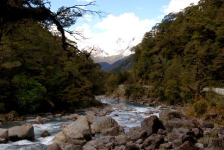 The Hollyford River (1) photo
