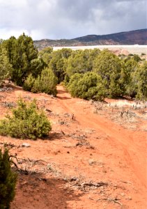 Juniper Ride Jazz Trail