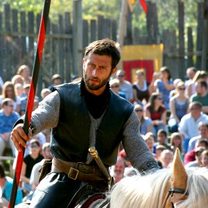Horse warrior chivalry