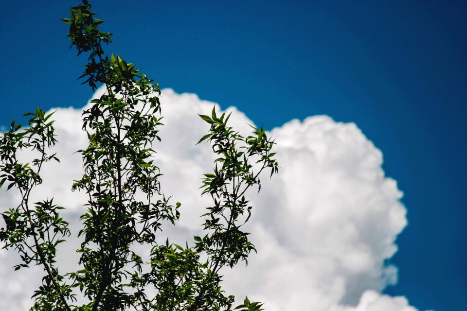 Blue sky nature