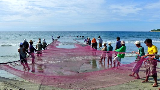 Hauling the net ashore Philippines. photo