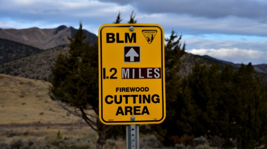 Tree Cutting in the West Desert District