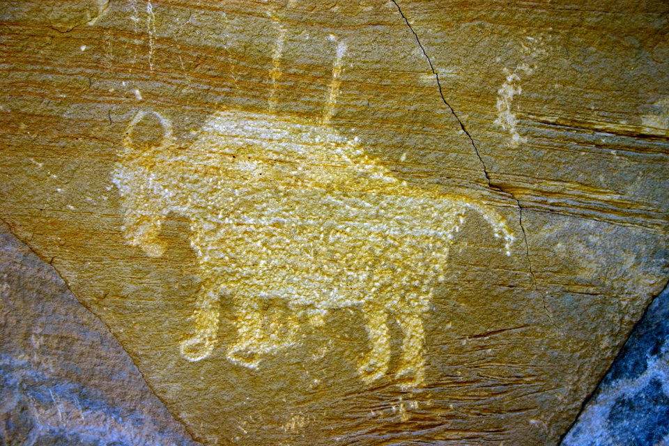 Day 5: Bison Petroglyph
