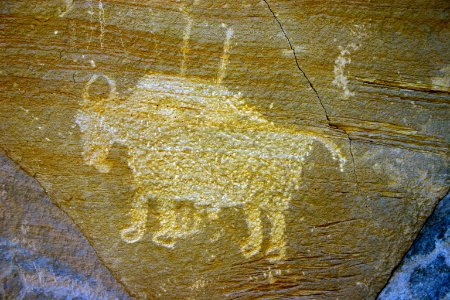 Day 5: Bison Petroglyph photo