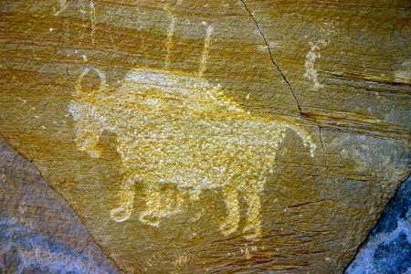 Day 5: Bison Petroglyph