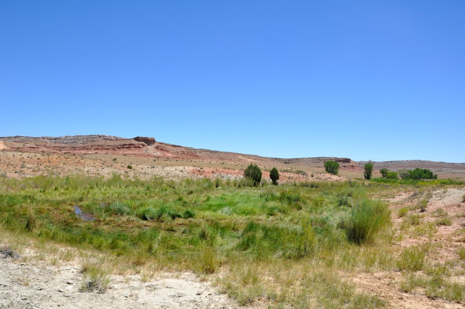 Mid Cottonwood Wash