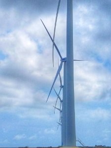 windpark Aruba photo