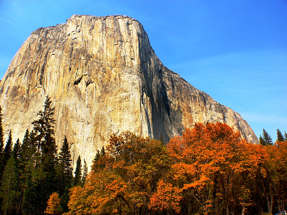 Yosemite National Park