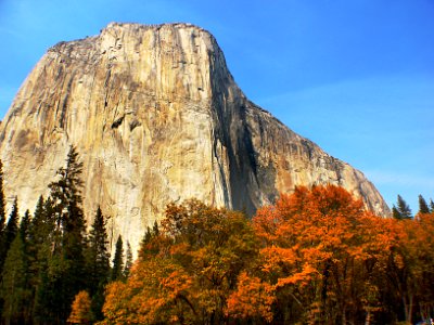 Yosemite National Park