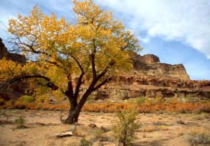 Red Canyon Wilderness