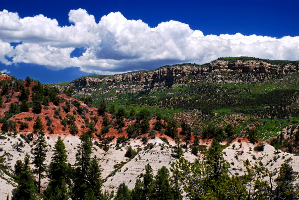 Deep Creek Wilderness