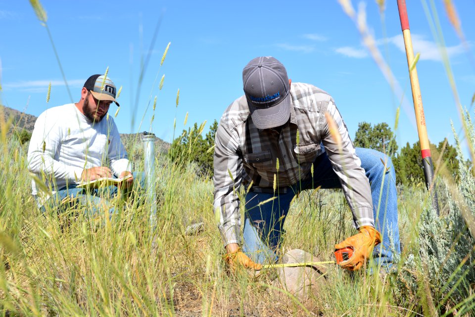 BLM Utah Cadastral Survey Team conducts resurvey of an 1872 General Land Office Survey in the West Desert District