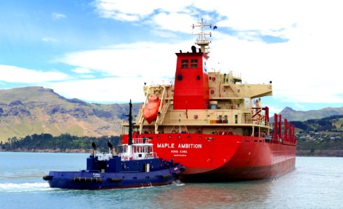 MAPLE AMBITION ( Bulk Carrier)