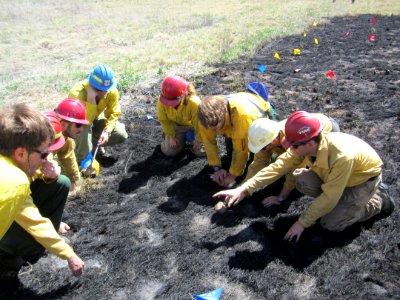 FI-210 Wildland Fire Origin & Cause Determination