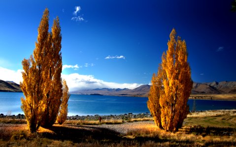 Golden Season (8)