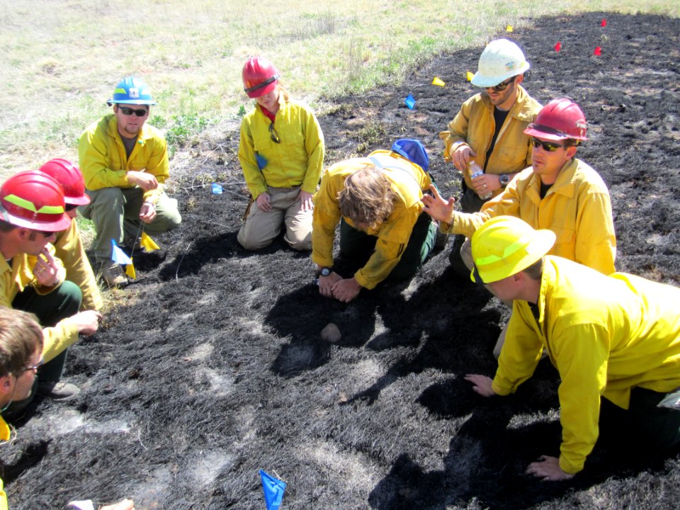 FI-210 Wildland Fire Origin & Cause Determination