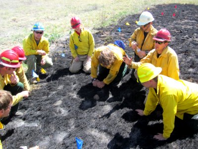 FI-210 Wildland Fire Origin & Cause Determination