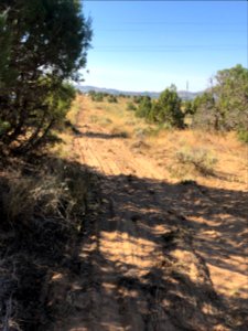 Docs Beach damage remedied by Eagles Scouts. Rancher. BLM. 2019 (34)