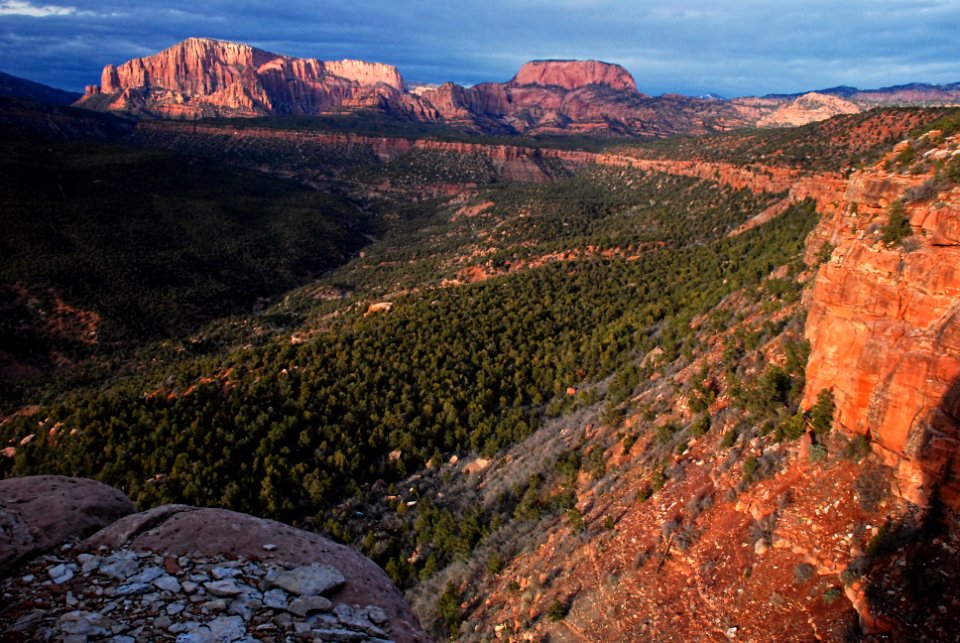 Black Ridge Wilderness