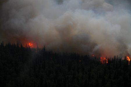 Currant Creek Fire, Lake Clark NP
