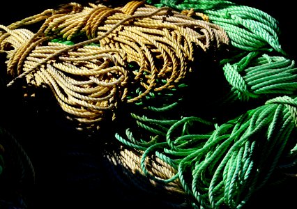 Ropes. photo
